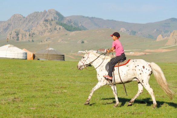 Mongolia (19)