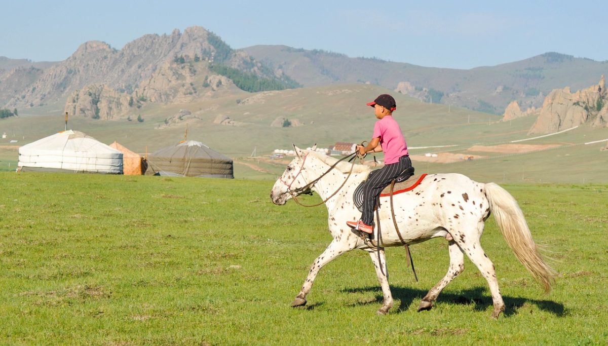 Mongolia (19)