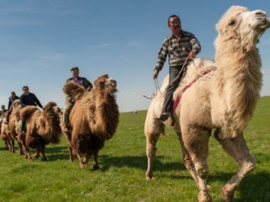 Cáucaso Camellos. Viajes culturales y antropológicos al Cáucaso con Via Nómada Experience